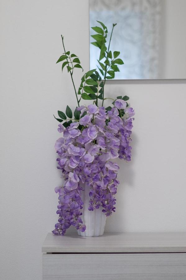 La Casa Di Anna Apartment Domegliara Екстериор снимка